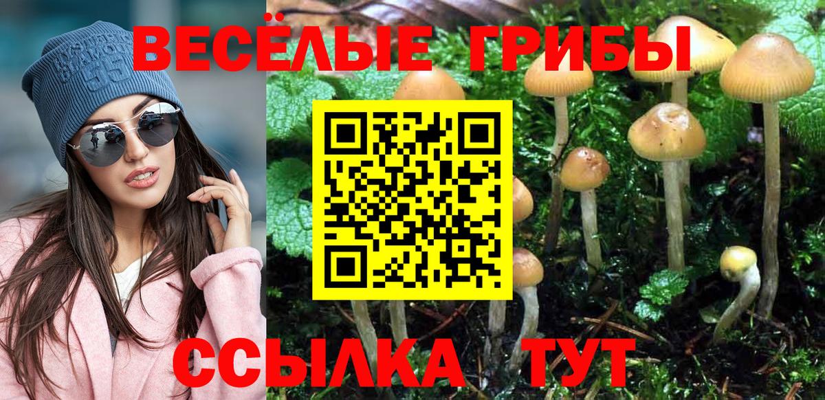 Псилоцибиновые грибы мухоморы Магадан
