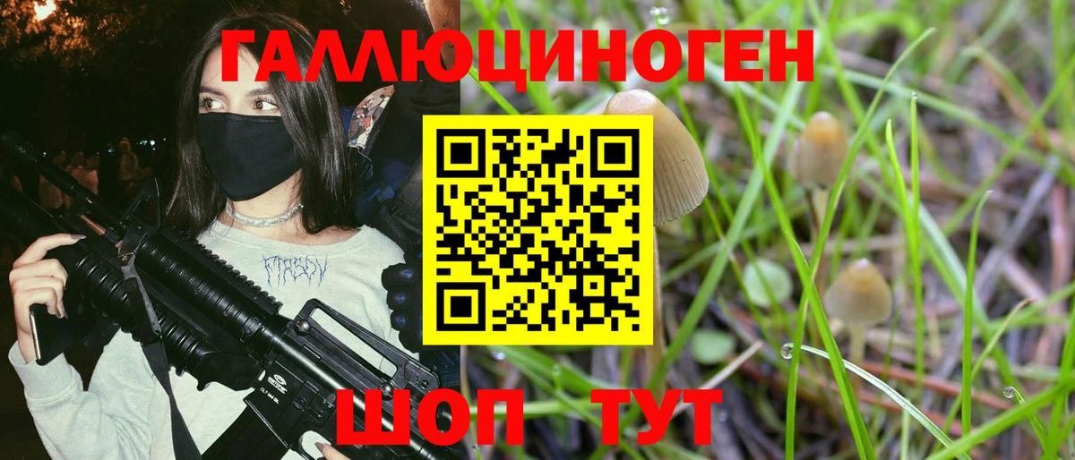 Псилоцибиновые грибы Magic Shrooms  купить закладку  Магадан  Вход с VPN 